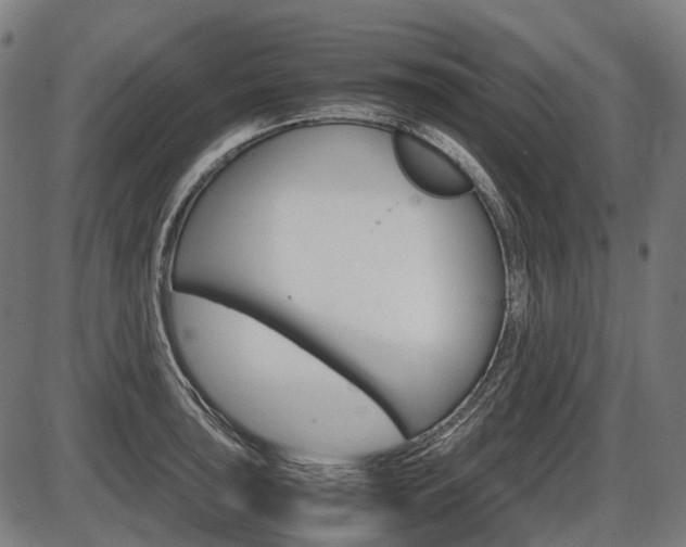 X0000087581043200704271040