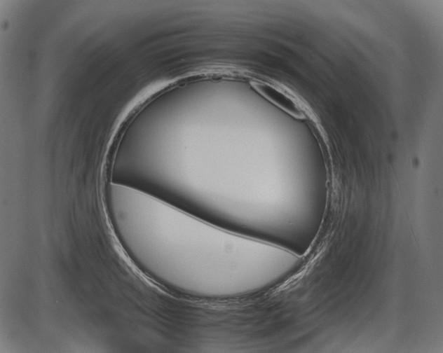 X0000087581045200704271040