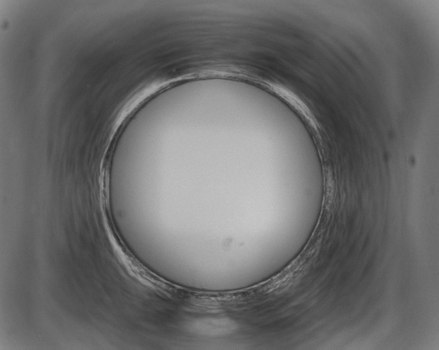X0000087581047200704271040