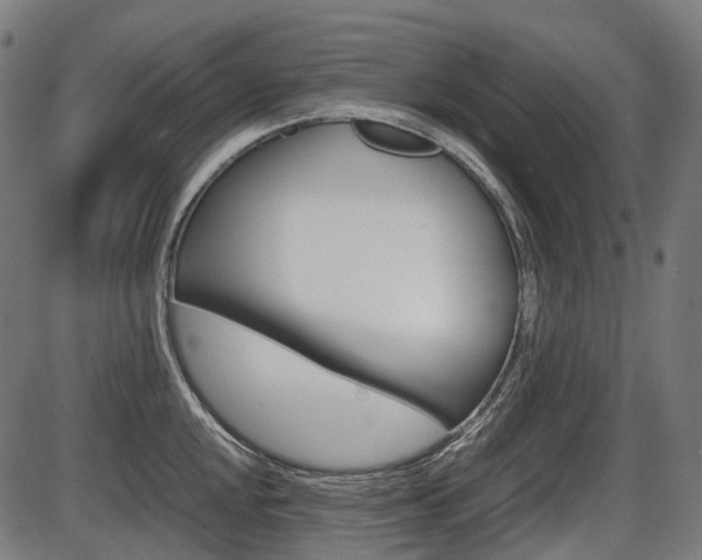 X0000087581048200704271040