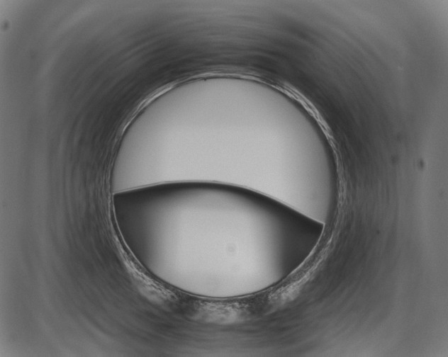 X0000087581049200704271040