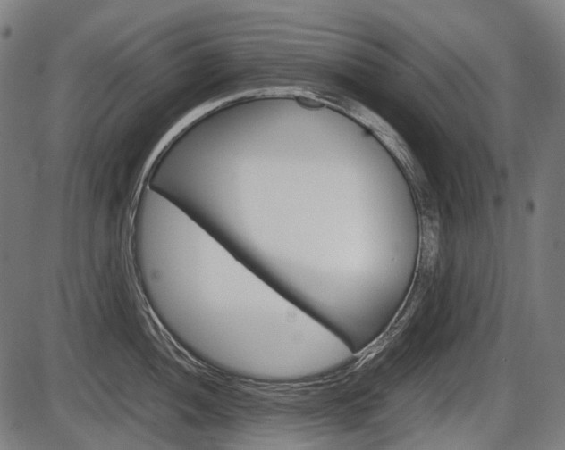 X0000087581052200704271040
