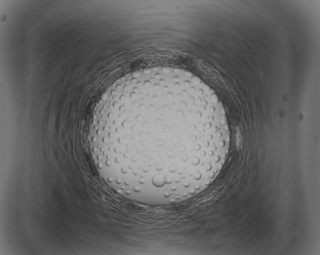 X0000087581059200704271039