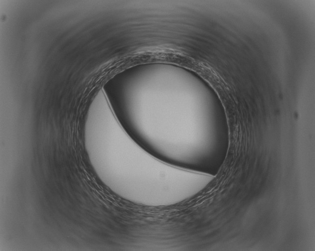 X0000087581062200704271039