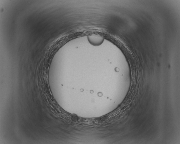 X0000087581063200704271039