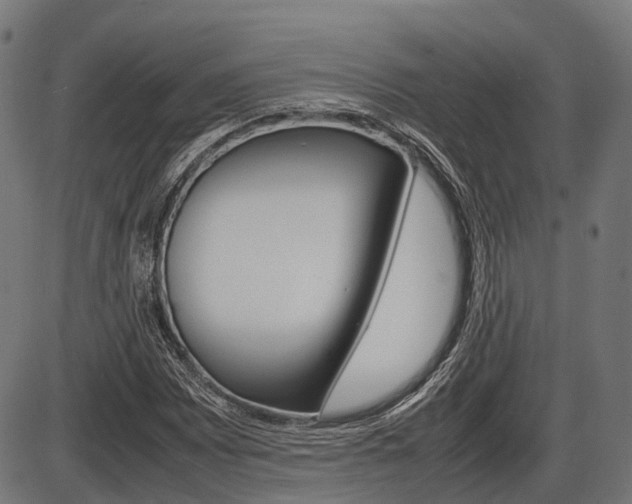 X0000087581065200704271039