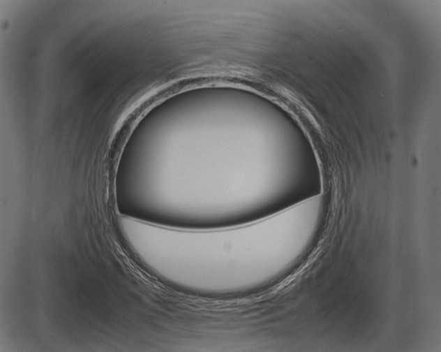 X0000087581069200704271039