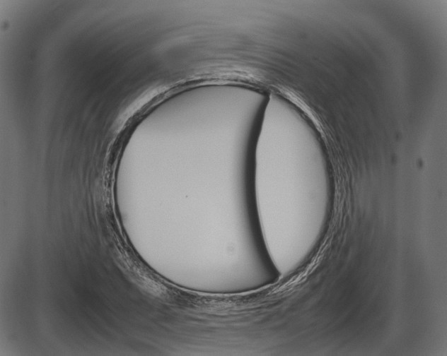 X0000087581071200704271039