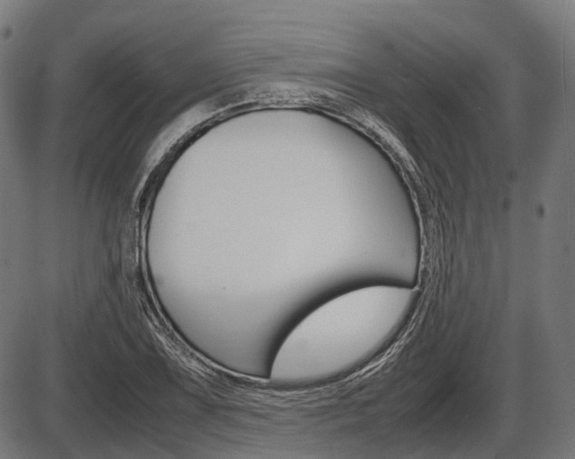 X0000087581075200704271039