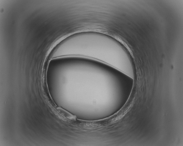 X0000087581077200704271039
