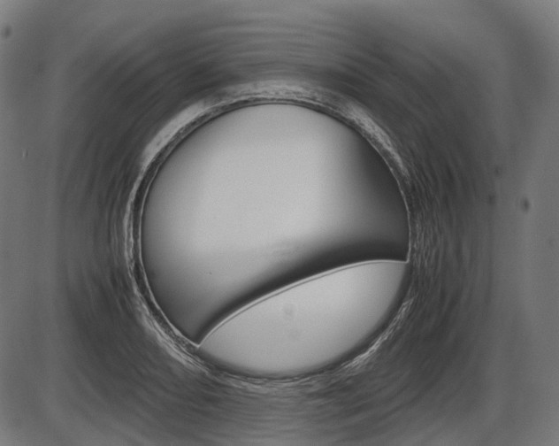 X0000087581082200704271039