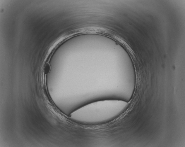 X0000087581083200704271039