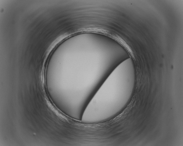 X0000087581084200704271039