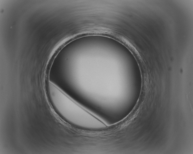 X0000087581085200704271039