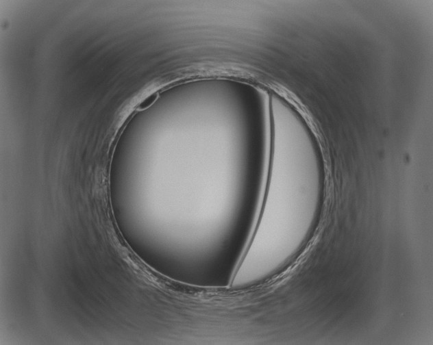 X0000087581089200704271039