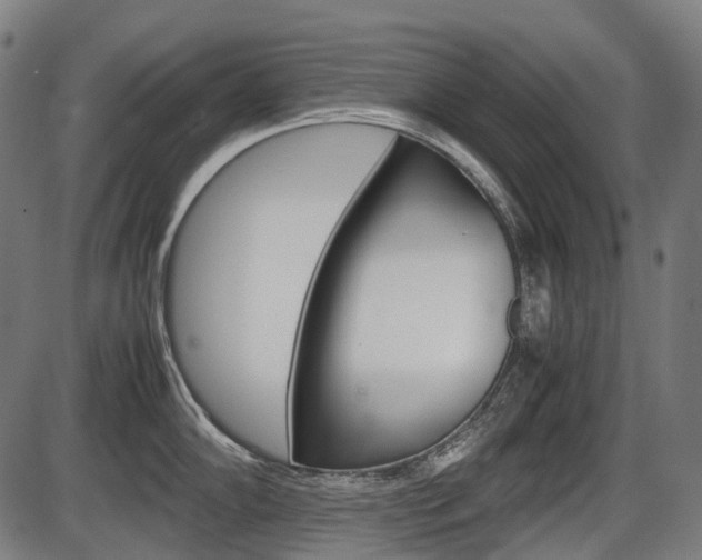 X0000087581102200704271039
