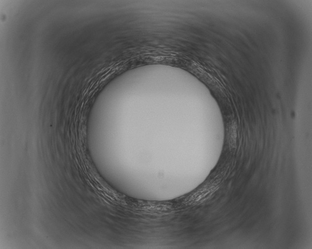 X0000087581105200704271038