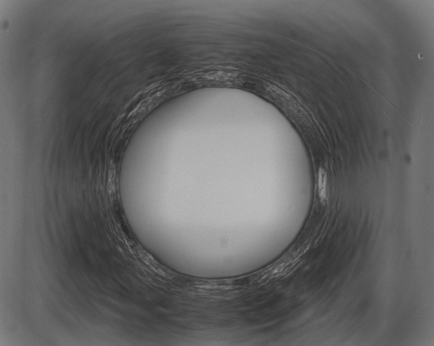 X0000087581107200704271038