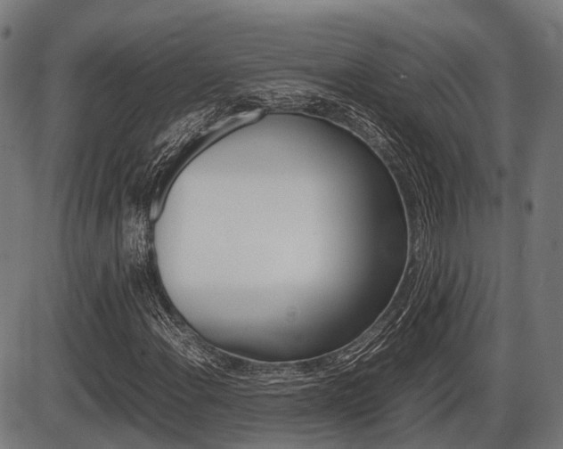 X0000087581108200704271038