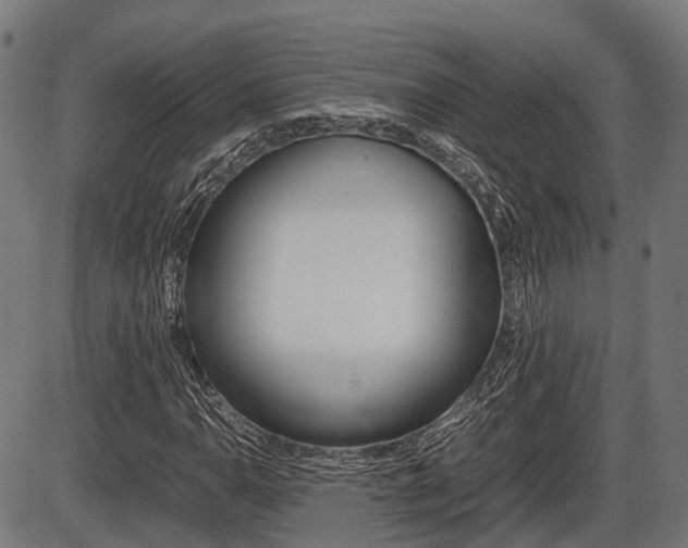 X0000087581110200704271038