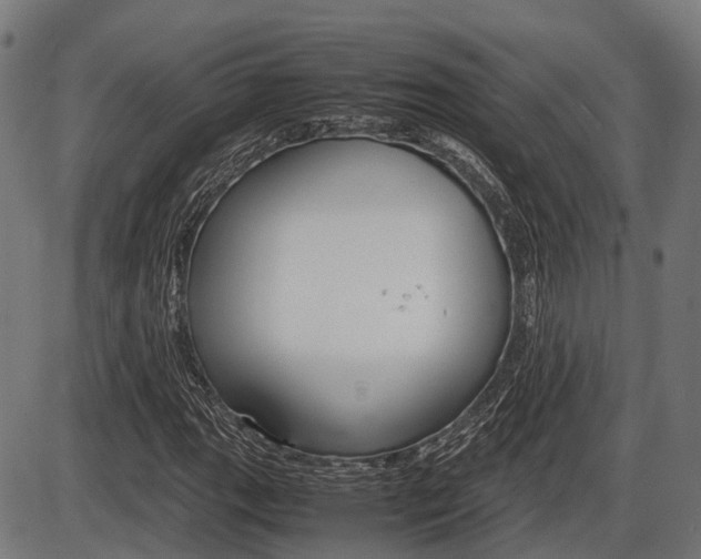 X0000087581111200704271038