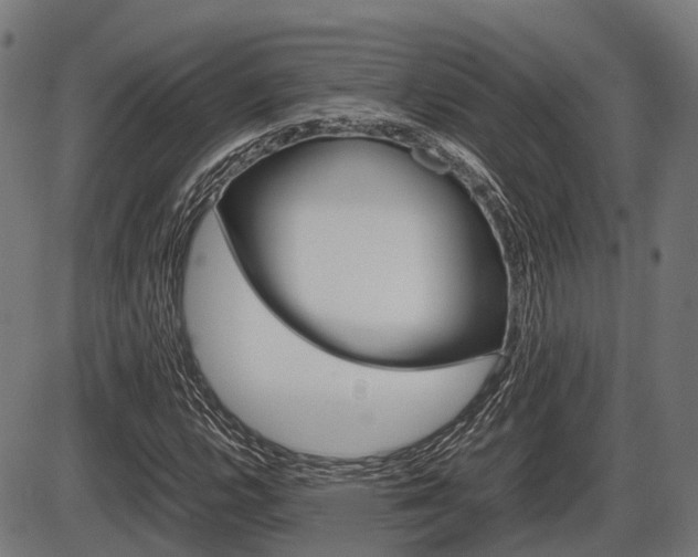 X0000087581112200704271038