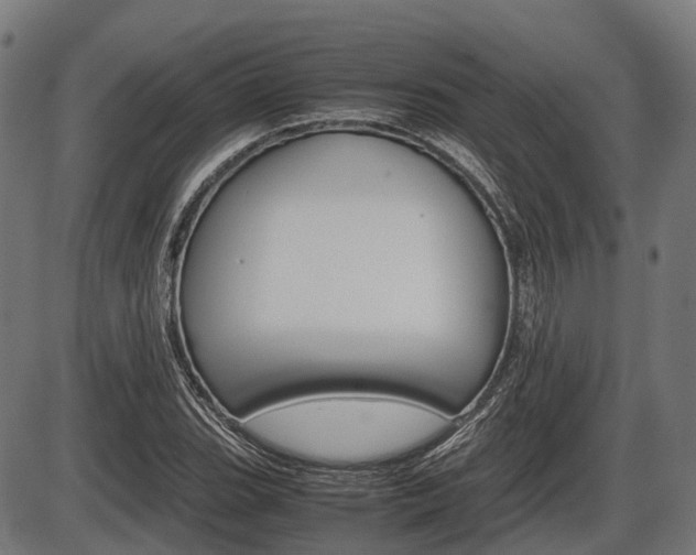 X0000087581119200704271038