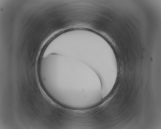 X0000087581126200704271038