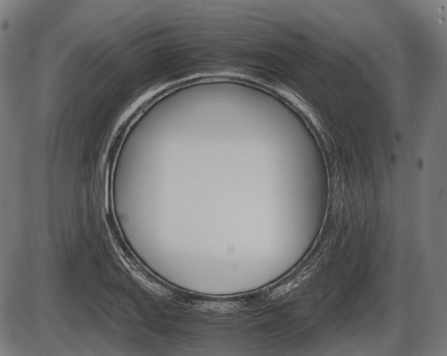 X0000087581127200704271038