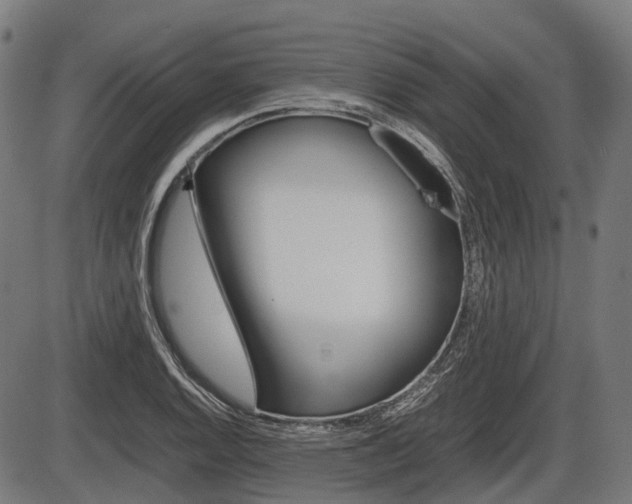 X0000087581128200704271038