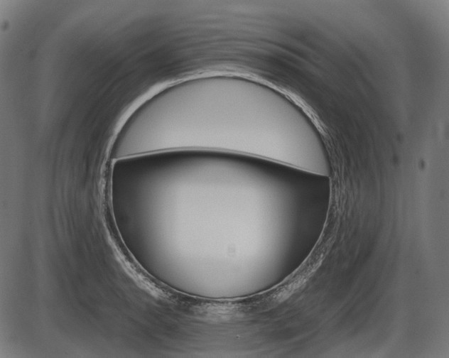 X0000087581134200704271038