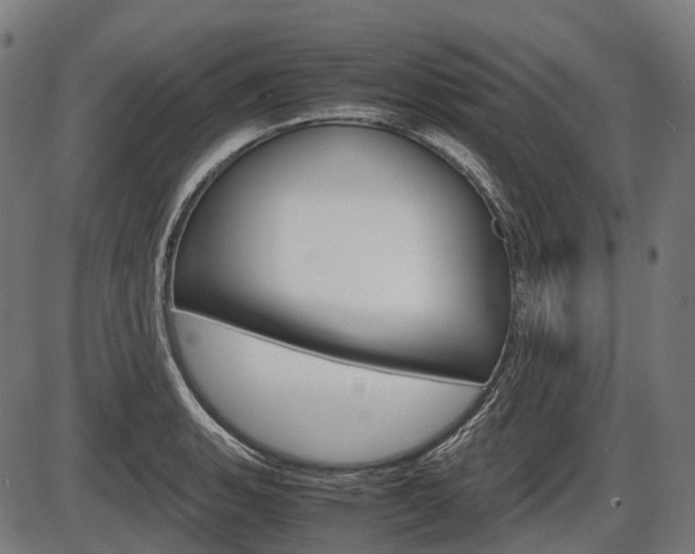 X0000087581135200704271038