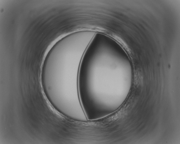 X0000087581136200704271038