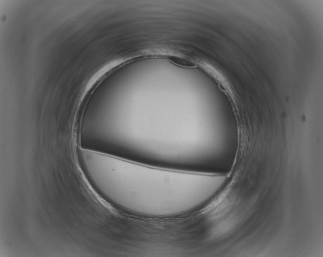 X0000087581141200704271038