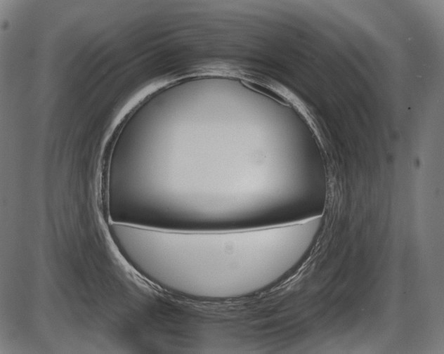 X0000087581147200704271039