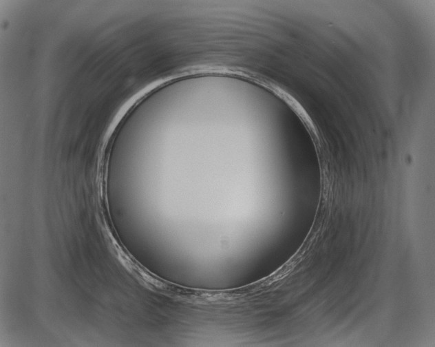 X0000087581148200704271039