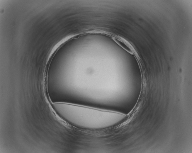 X0000087581149200704271039