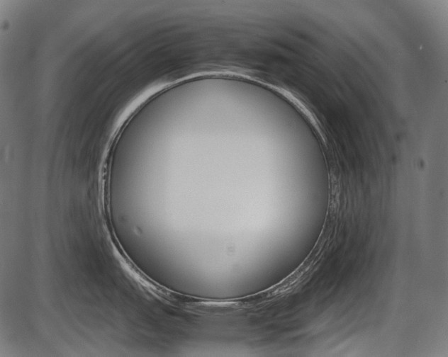 X0000087581151200704271039