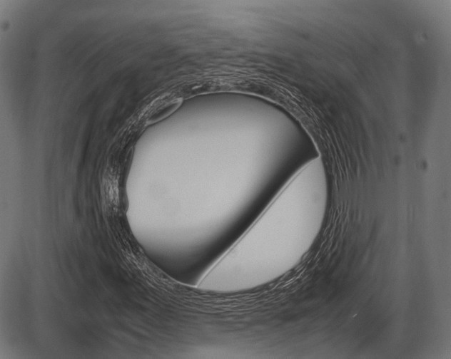 X0000087581155200704271038