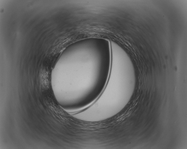 X0000087581156200704271038