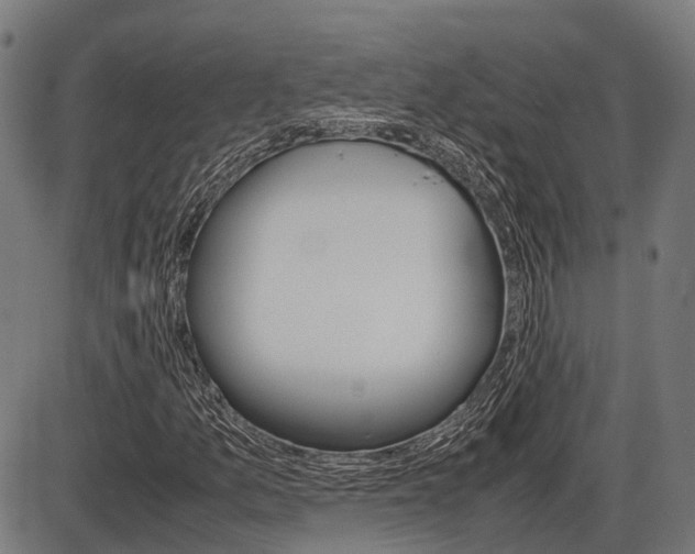 X0000087581157200704271038