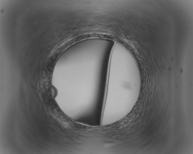 X0000087581159200704271038