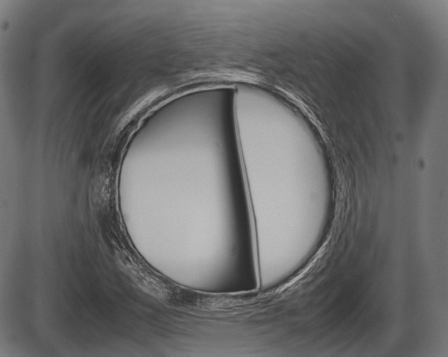 X0000087581163200704271038