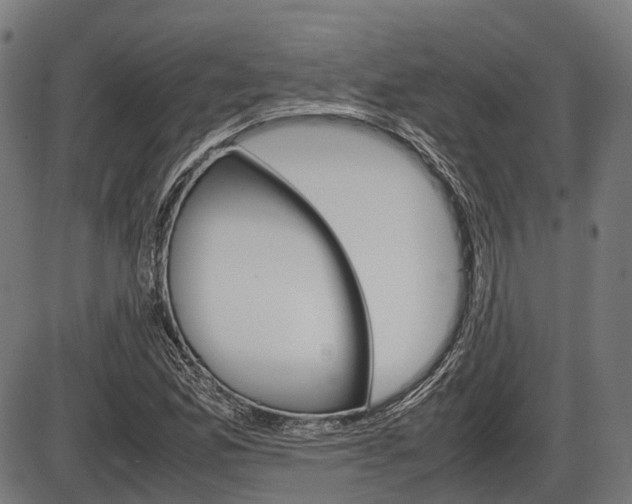 X0000087581165200704271038