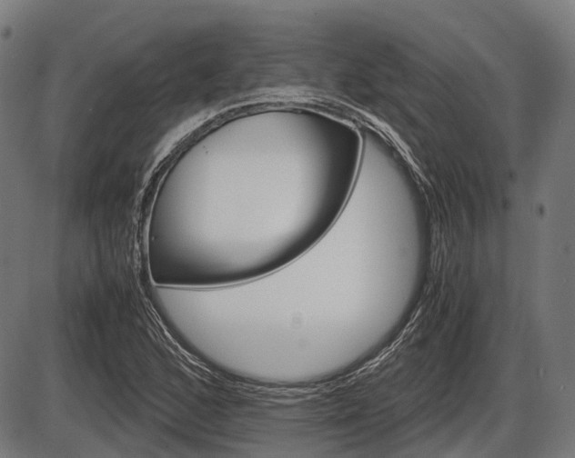 X0000087581168200704271038