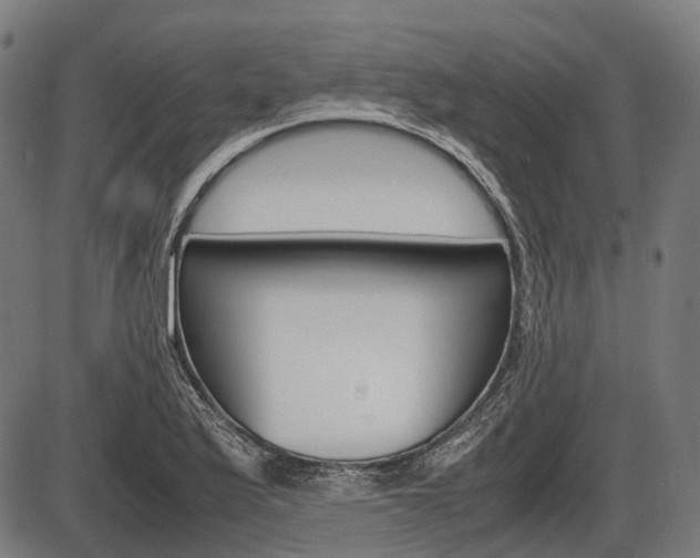 X0000087581175200704271037