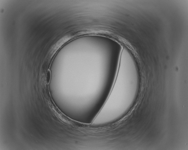 X0000087581177200704271037