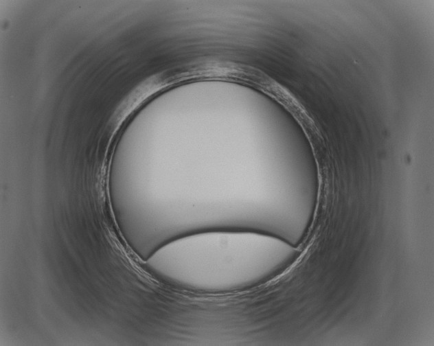 X0000087581178200704271037