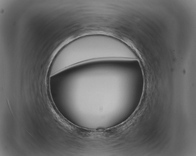 X0000087581181200704271037