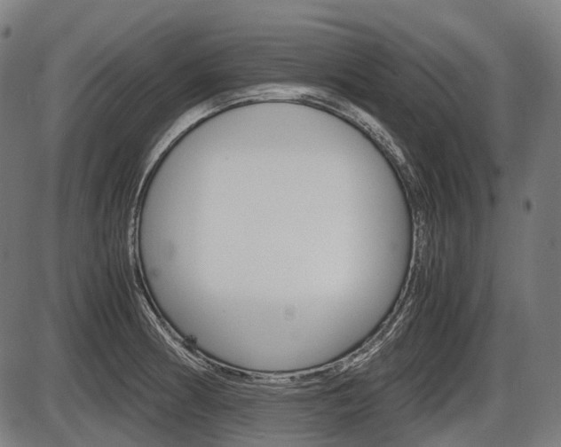 X0000087581186200704271037